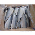 Fish Fish Pacific Pacific Mackerel Filet pour conserve